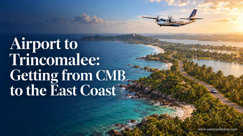 Airport to Trincomalee Getting from CMB to the East Coast