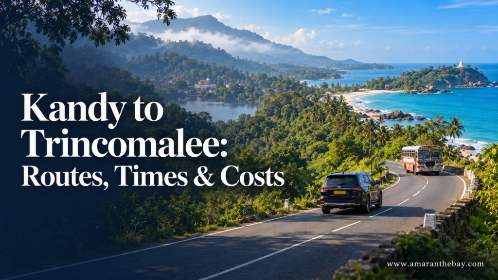 Kandy to Trincomalee Routes, Times & Costs