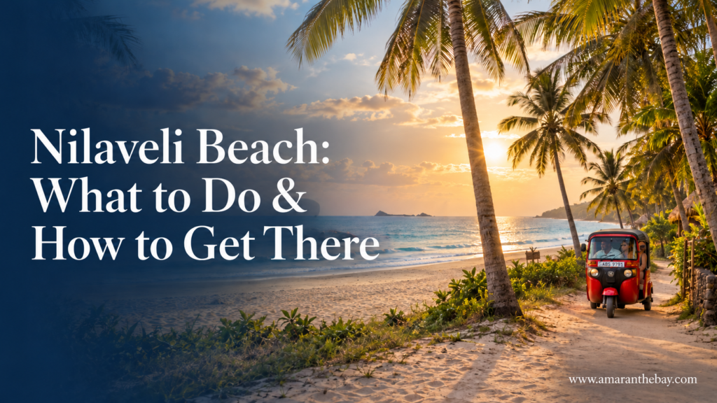 Nilaveli Beach What to Do & How to Get There